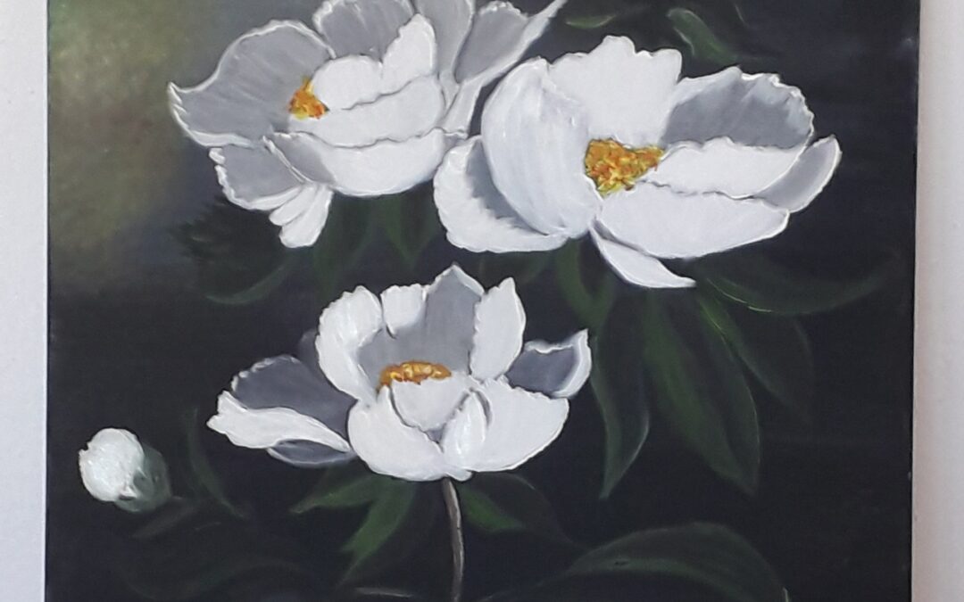 Pivoines Blanches