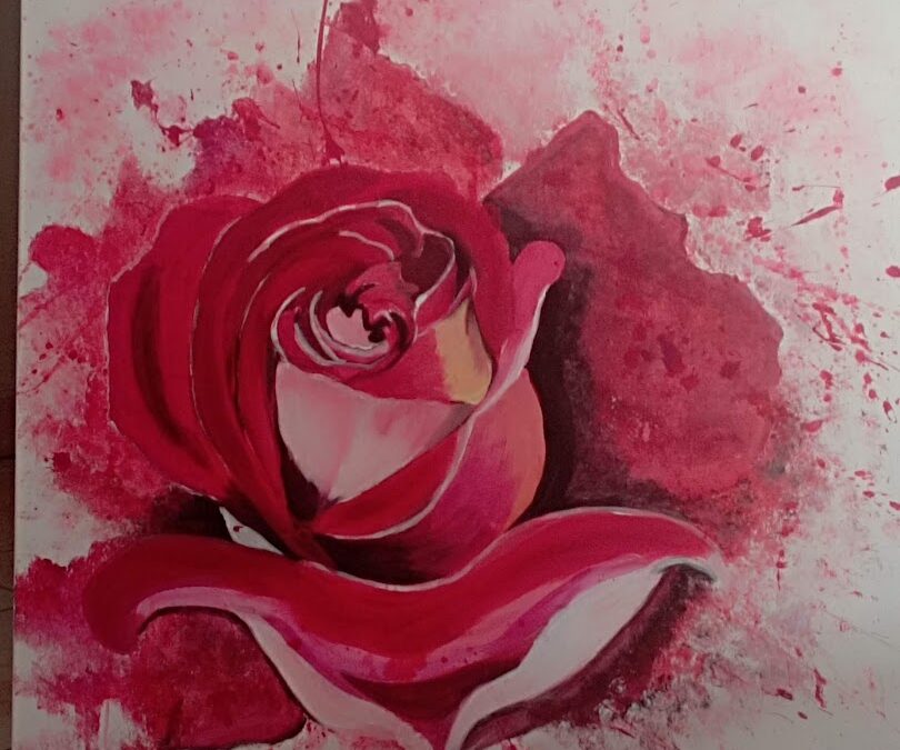 Eclosion d’une Rose